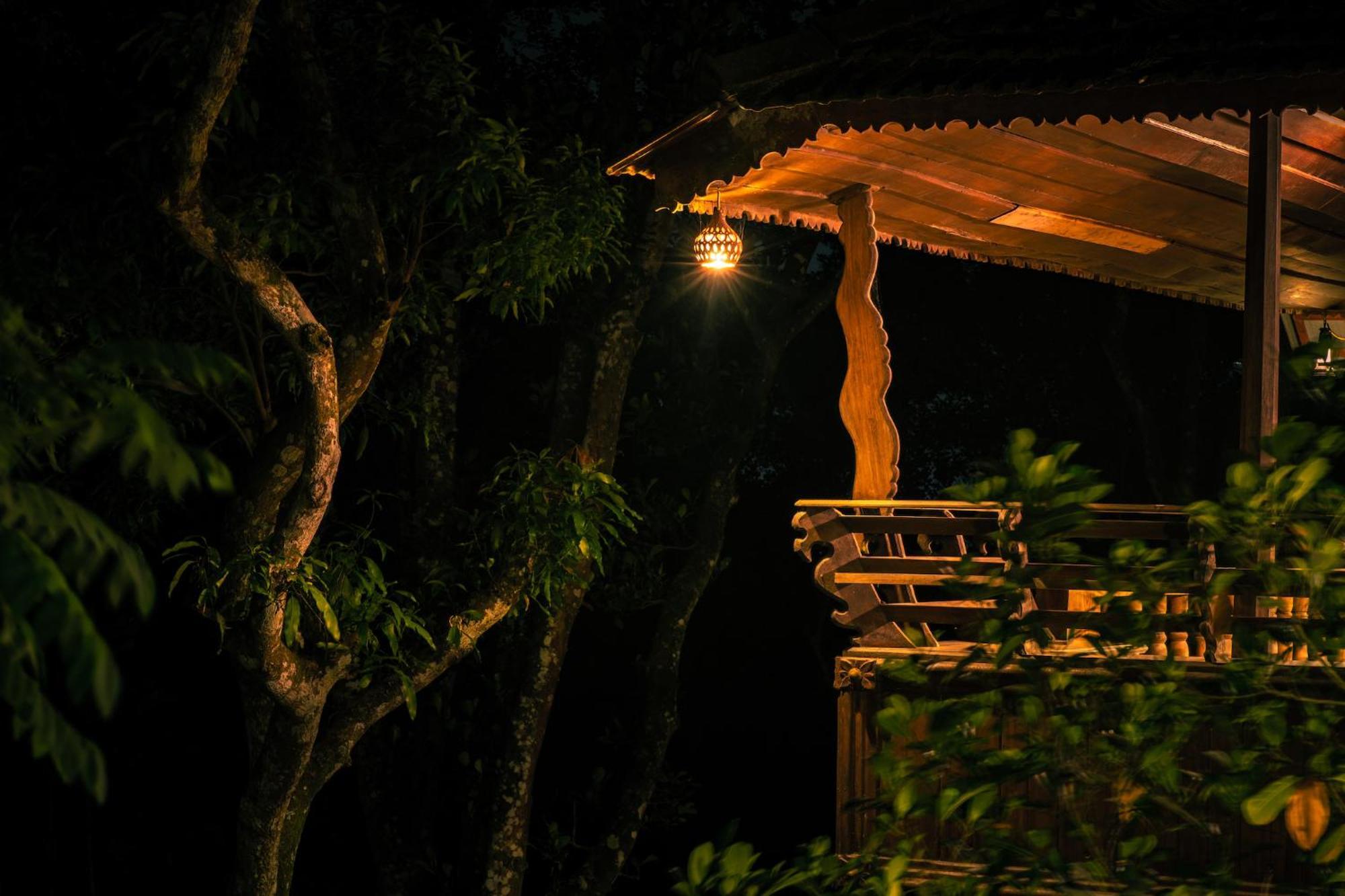 טקאדי Kalpavanam Heritage Resort מראה חיצוני תמונה